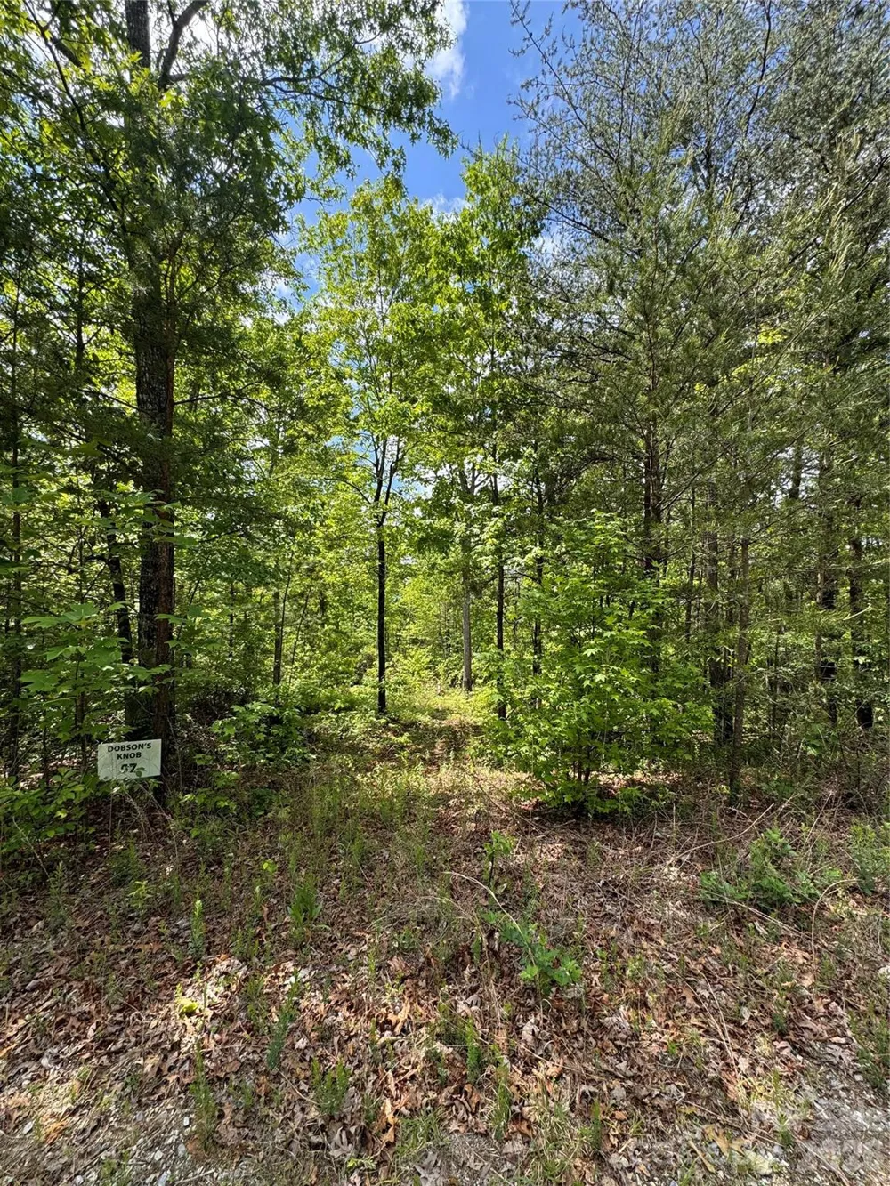 34 Montgomery Drive Marion, NC 28752