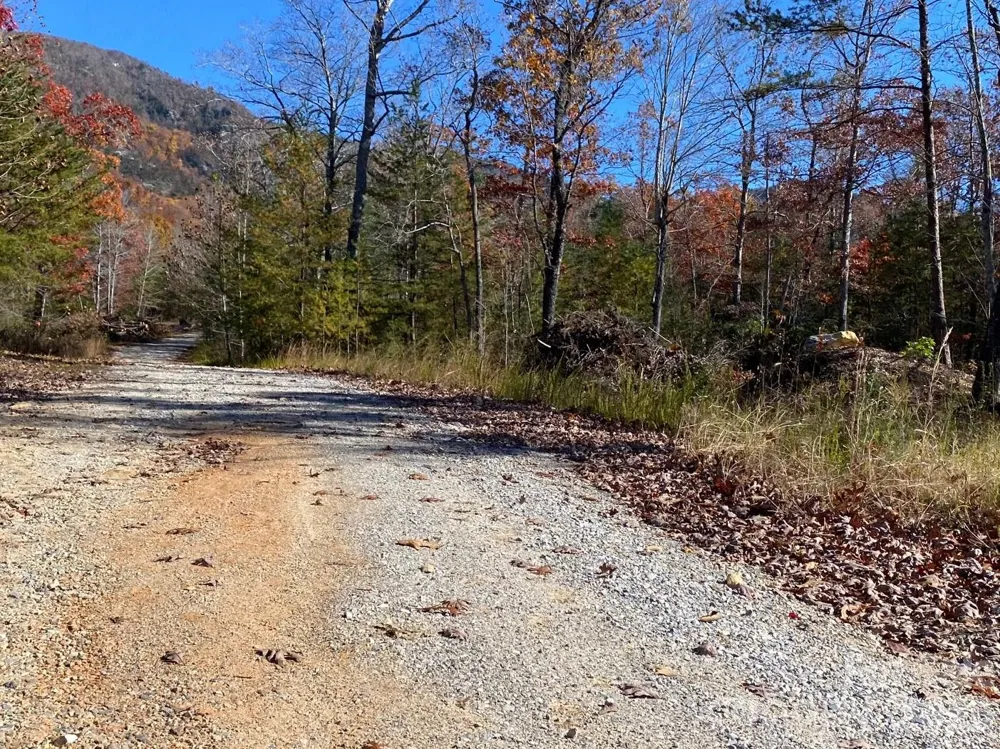 34 Montgomery Drive Marion, NC 28752