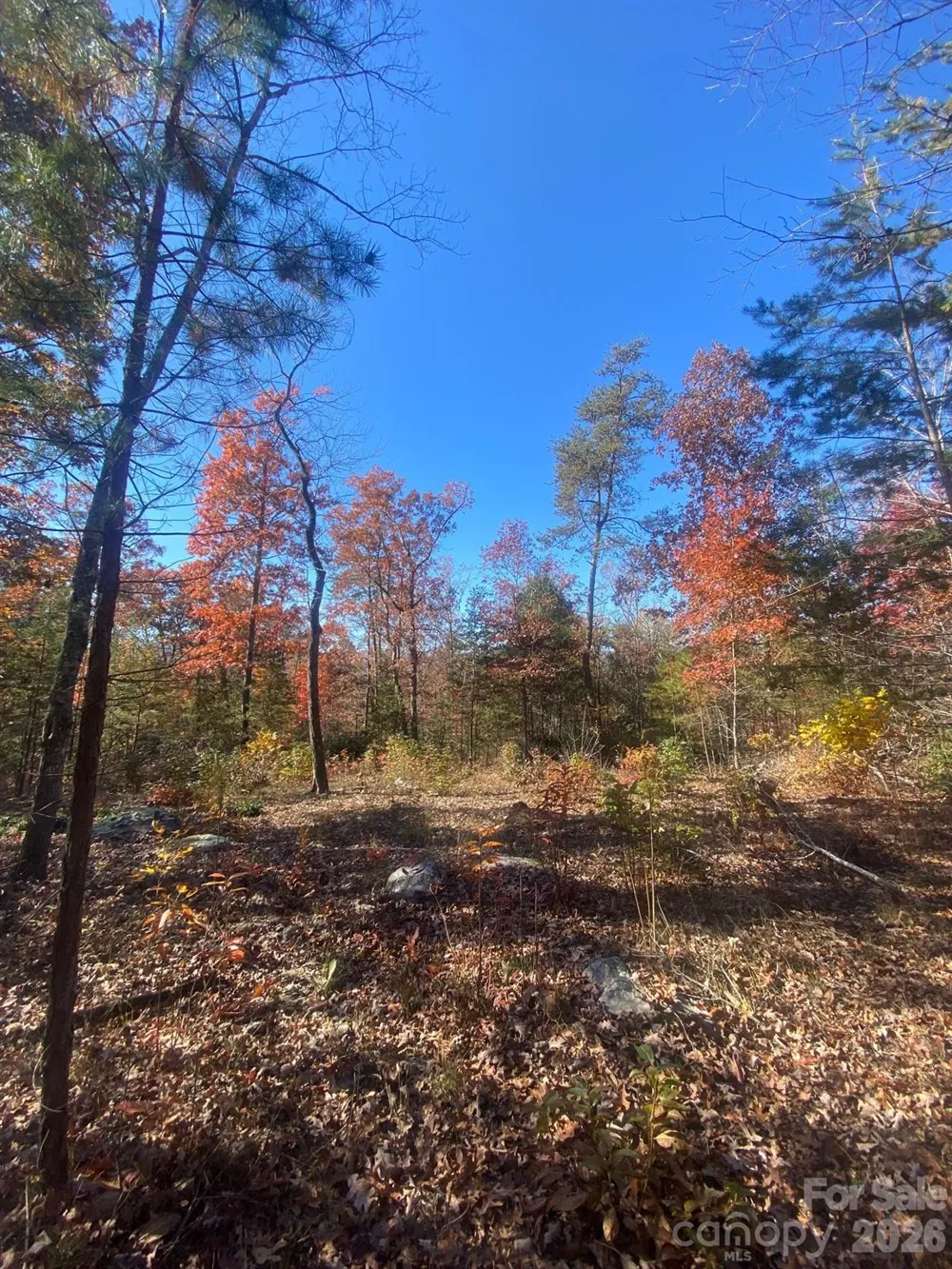 34 Montgomery Drive Marion, NC 28752