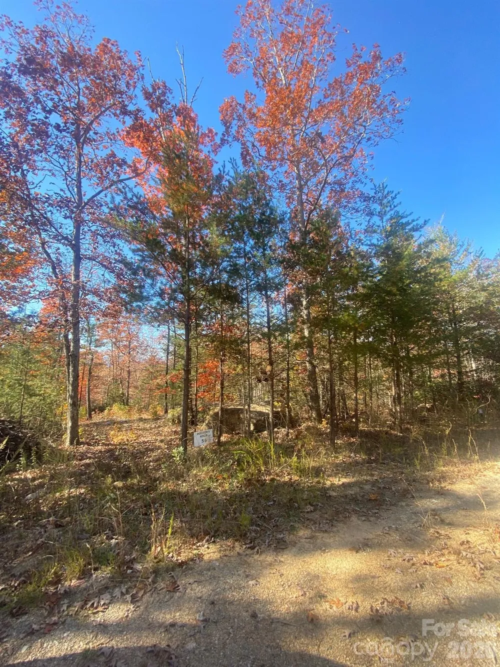 34 Montgomery Drive Marion, NC 28752