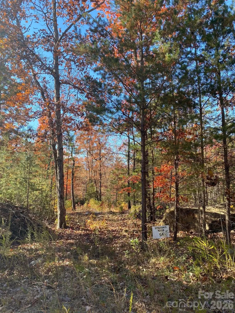 34 Montgomery Drive Marion, NC 28752