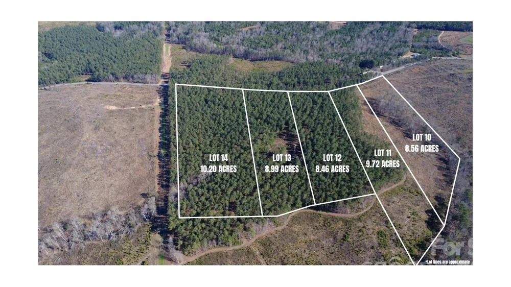 00 Peter Hawk Creek Road #10 Jonesville, SC 29353