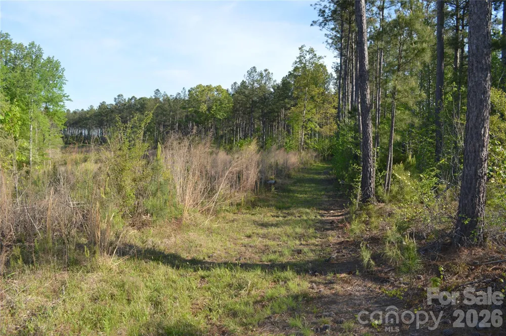 00 Peter Hawk Creek Road #10 Jonesville, SC 29353