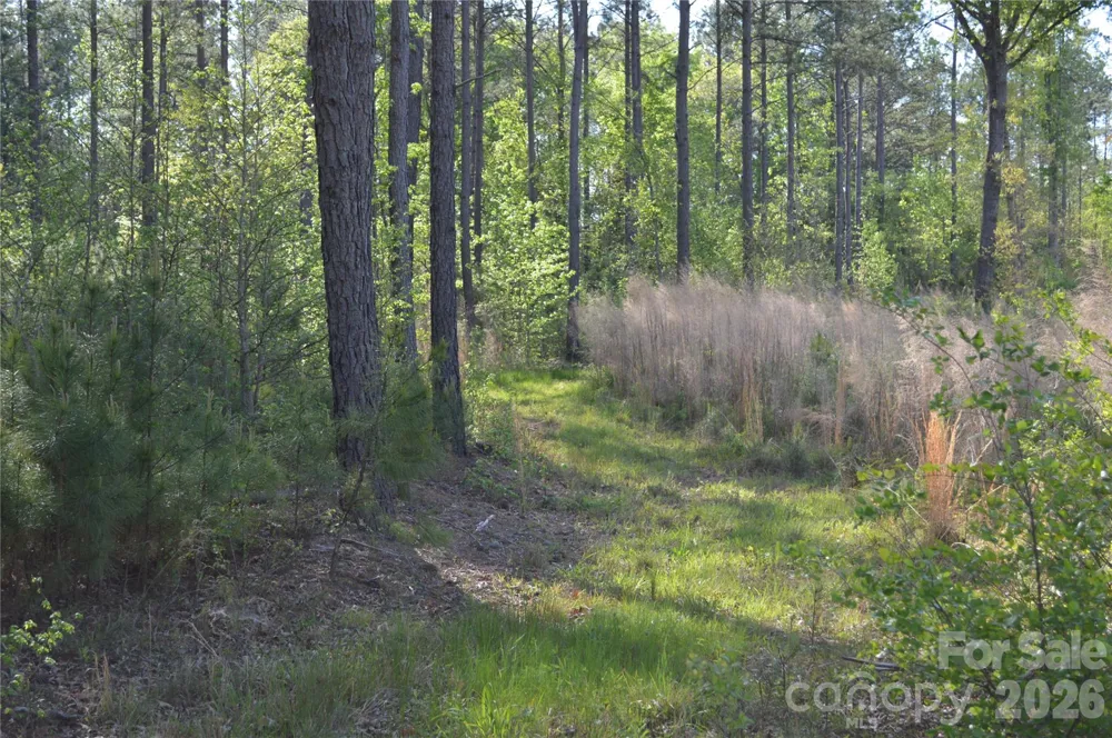 00 Peter Hawk Creek Road #10 Jonesville, SC 29353