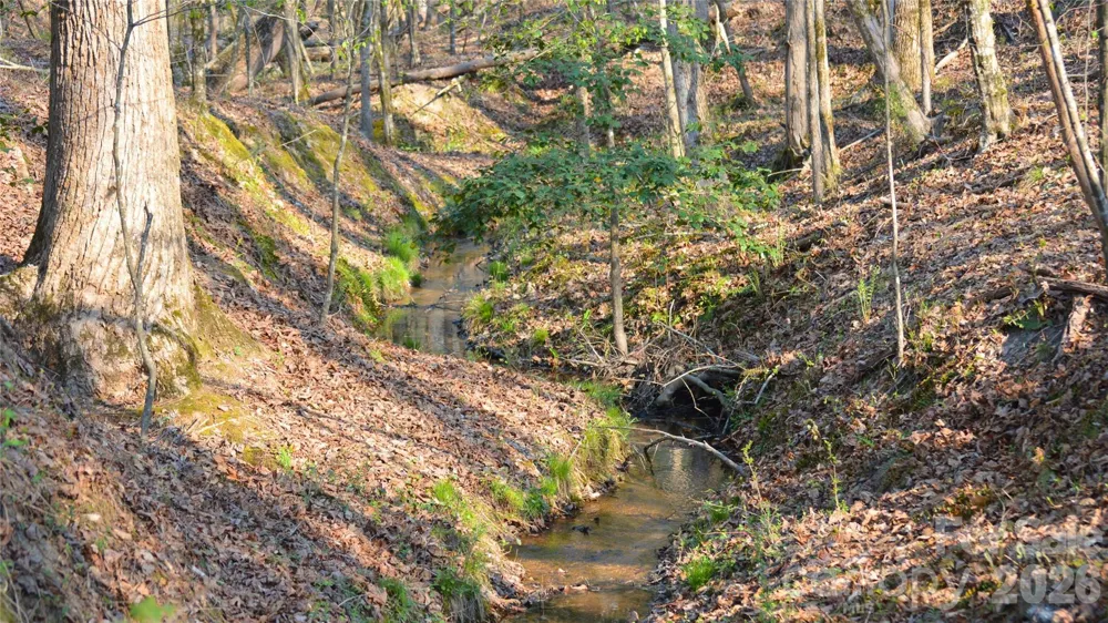 00 Peter Hawk Creek Road #10 Jonesville, SC 29353