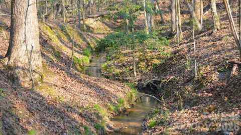 00 Peter Hawk Creek Road #10