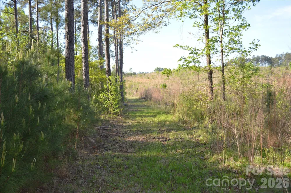 00 Peter Hawk Creek Road #10 Jonesville, SC 29353