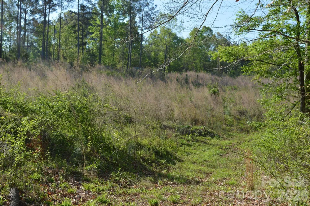 00 Peter Hawk Creek Road #10 Jonesville, SC 29353