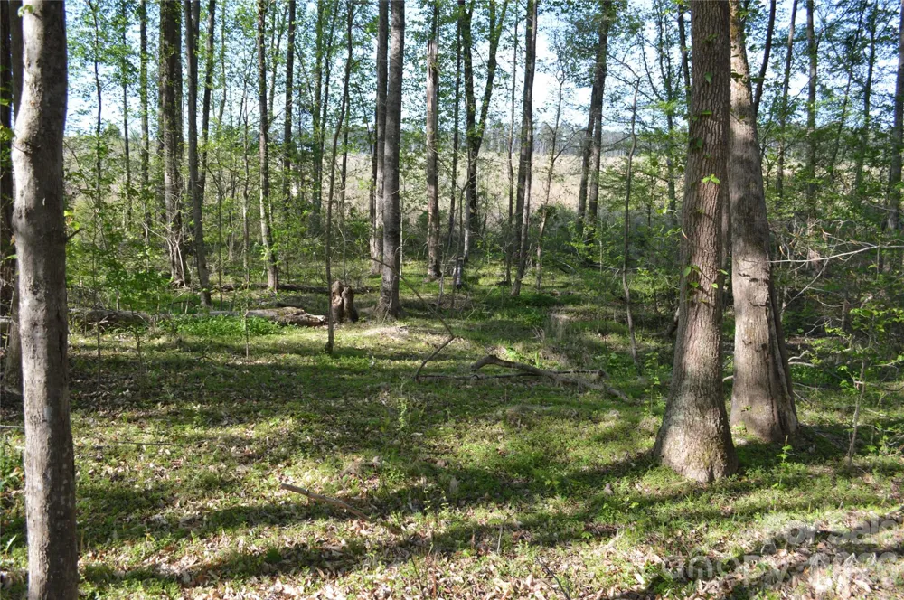 00 Peter Hawk Creek Road #10 Jonesville, SC 29353
