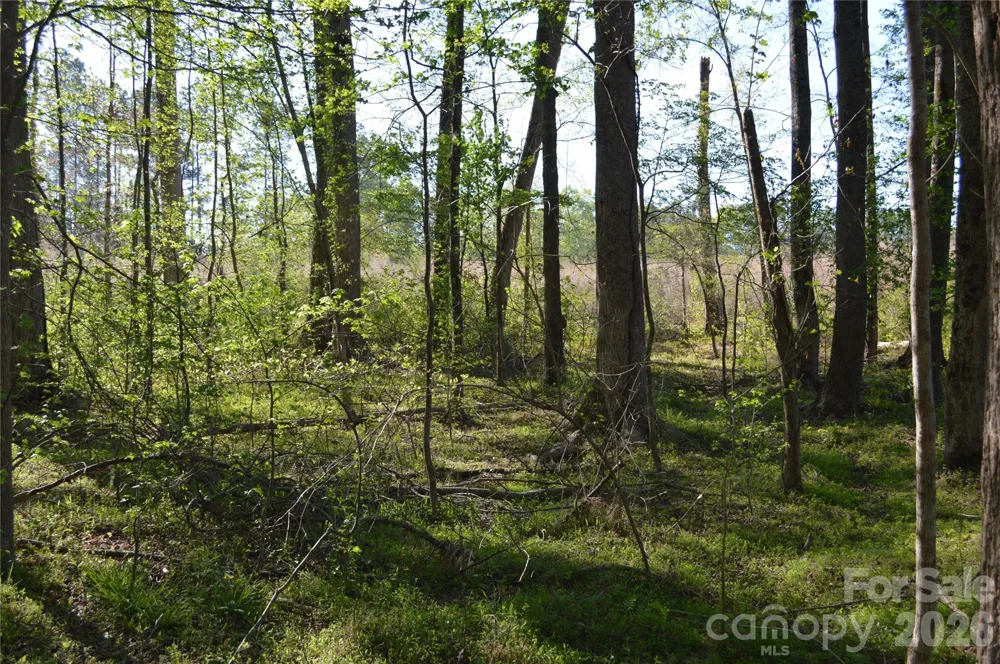 00 Peter Hawk Creek Road #10 Jonesville, SC 29353