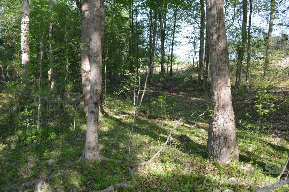 00 Peter Hawk Creek Road #10 Jonesville, SC 29353