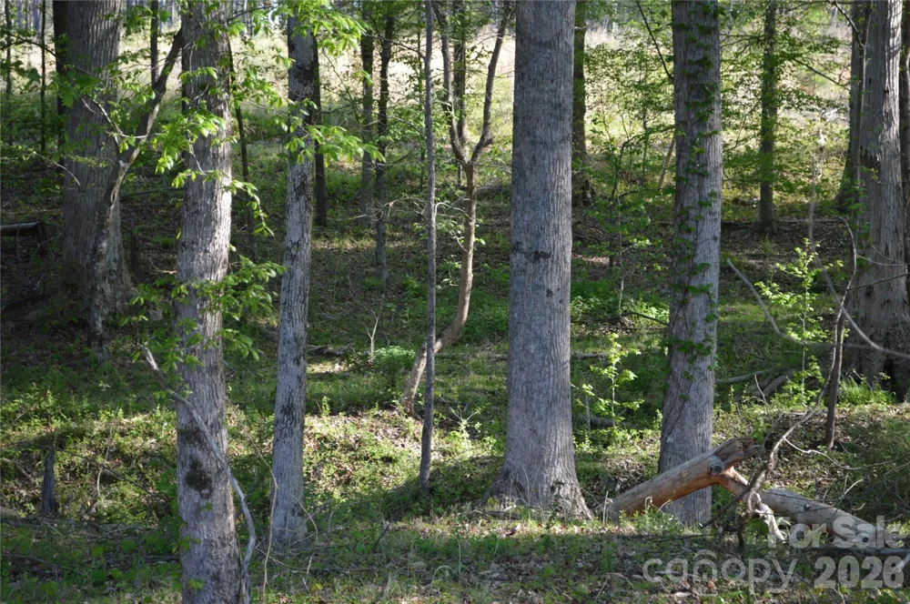 00 Peter Hawk Creek Road #10 Jonesville, SC 29353