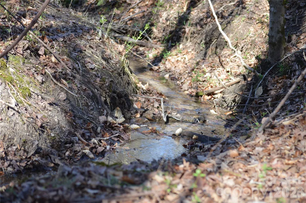 00 Peter Hawk Creek Road #10 Jonesville, SC 29353
