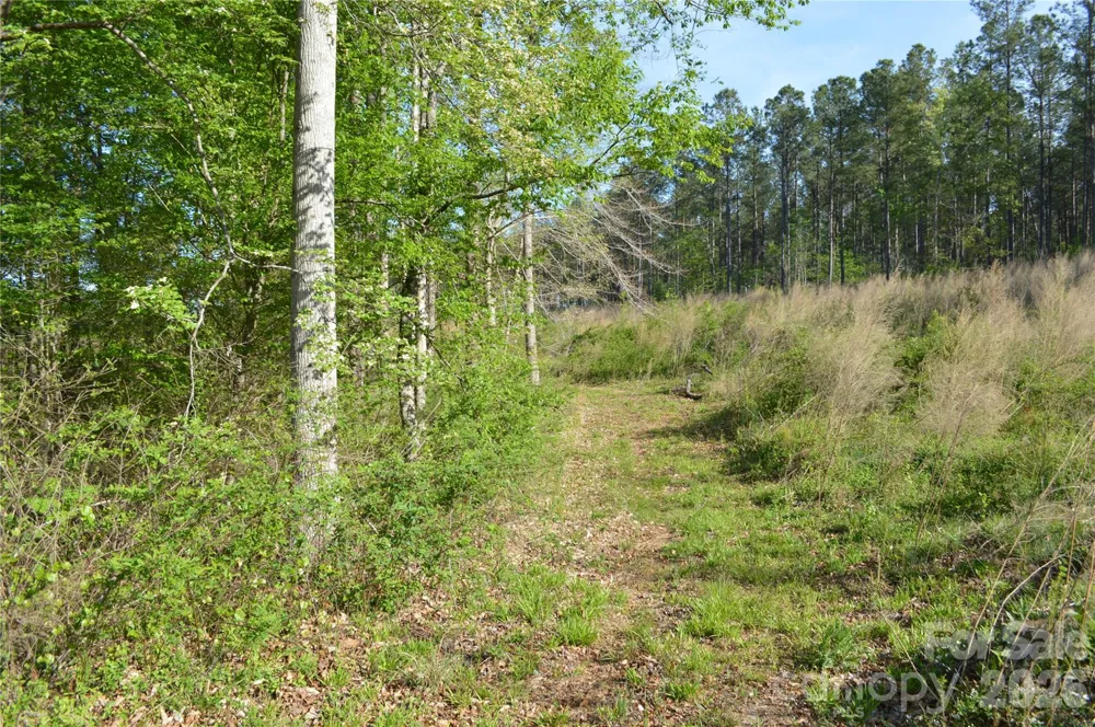 00 Peter Hawk Creek Road #10 Jonesville, SC 29353