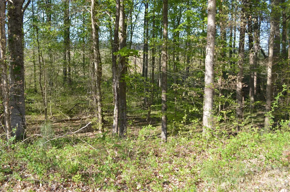 00 Peter Hawk Creek Road #10 Jonesville, SC 29353