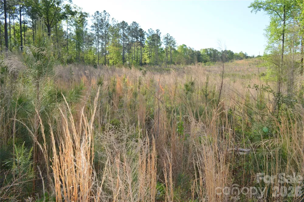 00 Peter Hawk Creek Road #10 Jonesville, SC 29353