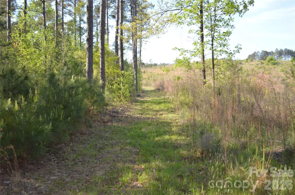 00 Peter Hawk Creek Road #10 Jonesville, SC 29353