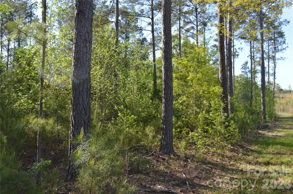 00 Peter Hawk Creek Road #10 Jonesville, SC 29353