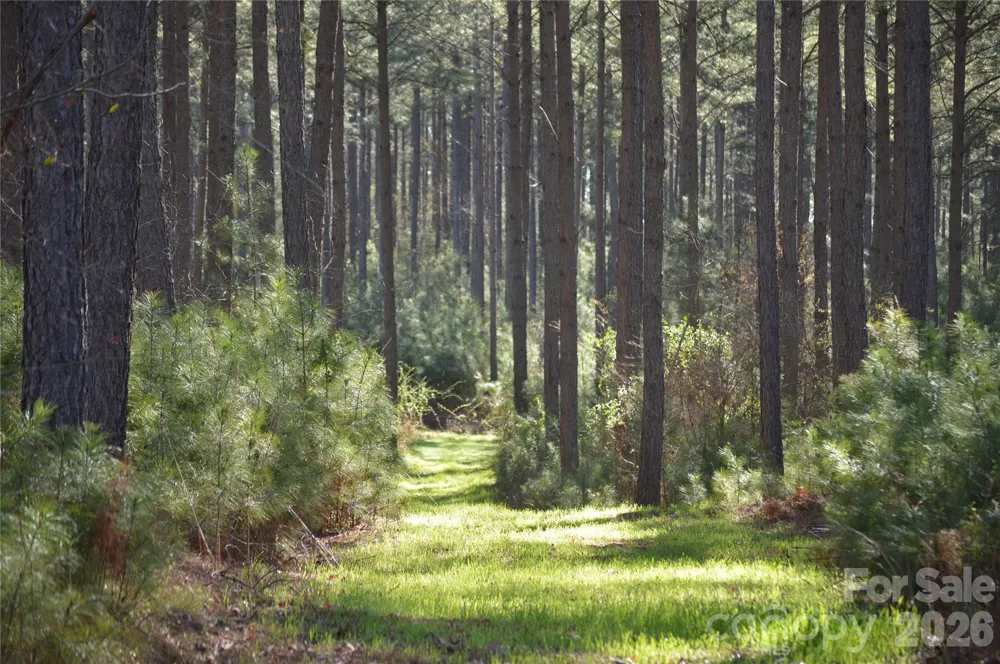 00 Peter Hawk Creek Road #13 Jonesville, SC 29353