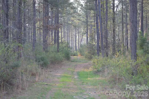00 Peter Hawk Creek Road #13