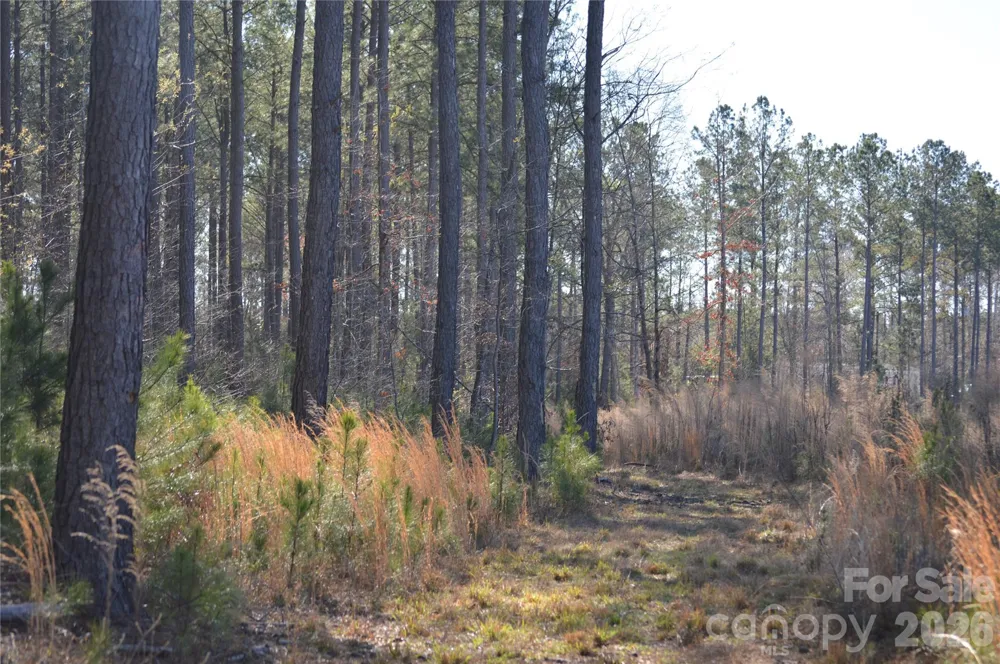 00 Peter Hawk Creek Road #13 Jonesville, SC 29353