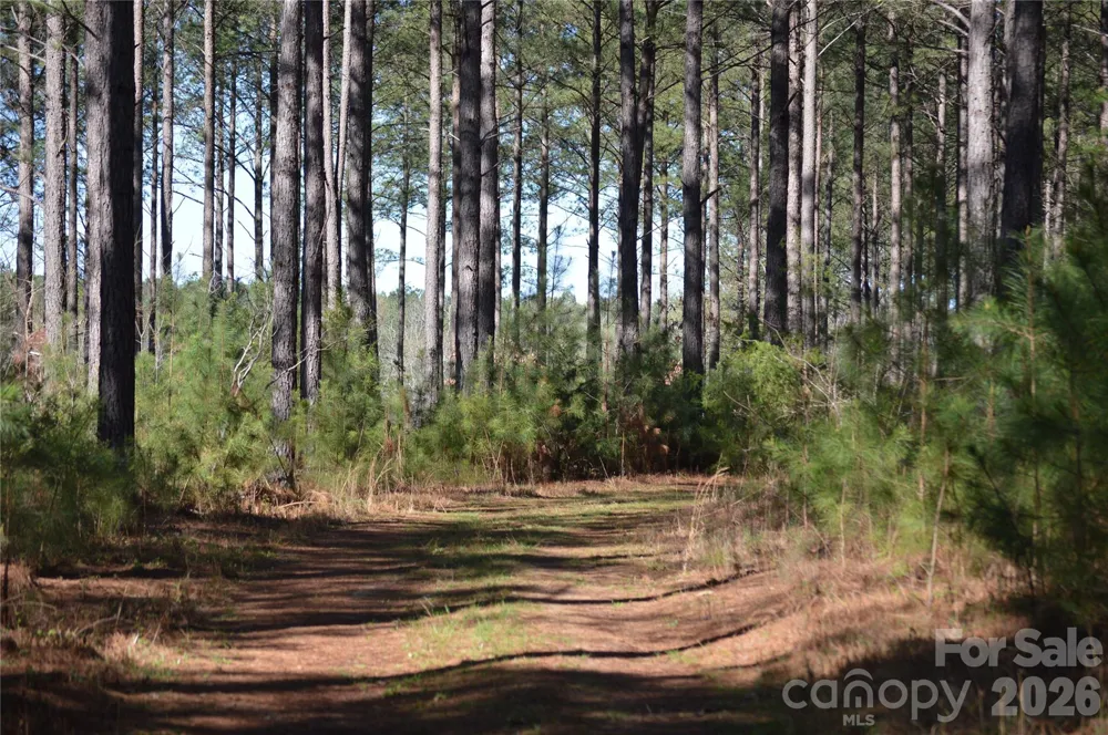 00 Peter Hawk Creek Road #12 Jonesville, SC 29353