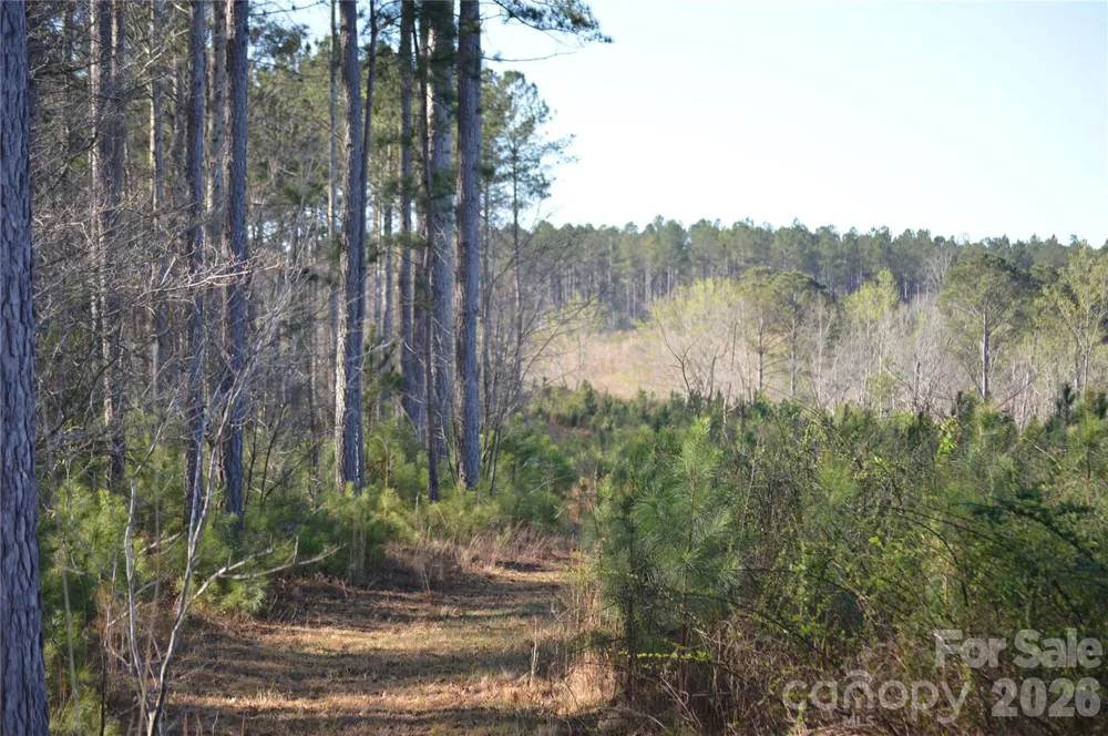 00 Peter Hawk Creek Road #12 Jonesville, SC 29353