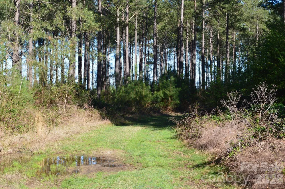 00 Peter Hawk Creek Road #12 Jonesville, SC 29353