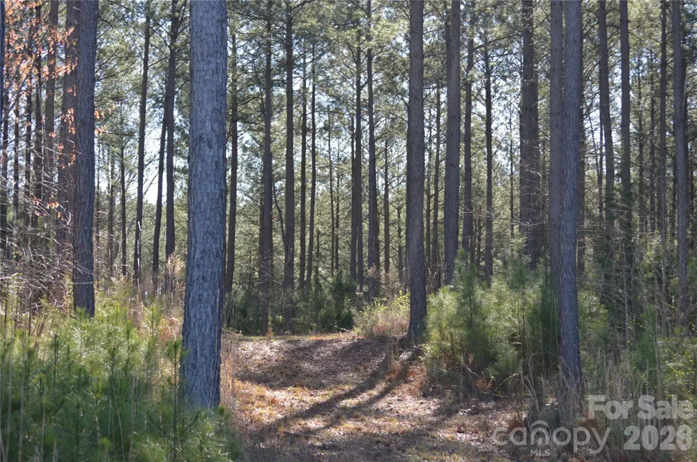 00 Peter Hawk Creek Road #12 Jonesville, SC 29353