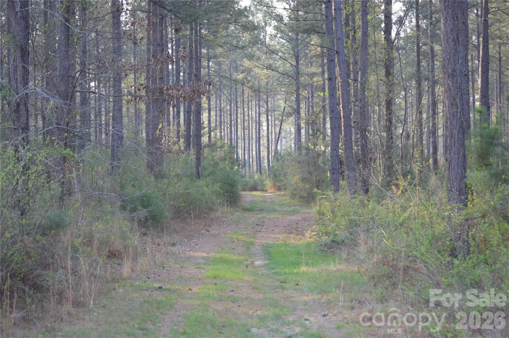 00 Peter Hawk Creek Road #14 Jonesville, SC 29353