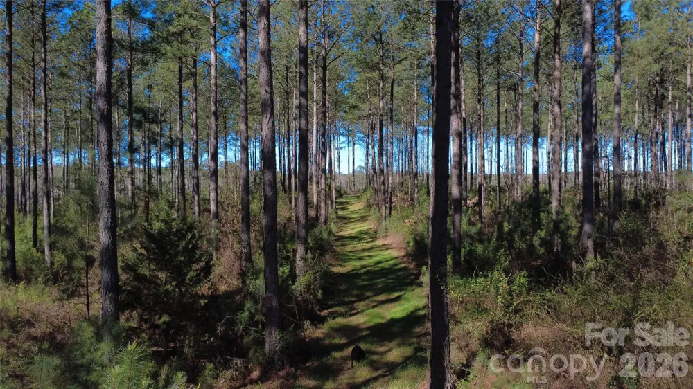 00 Peter Hawk Creek Road #14 Jonesville, SC 29353