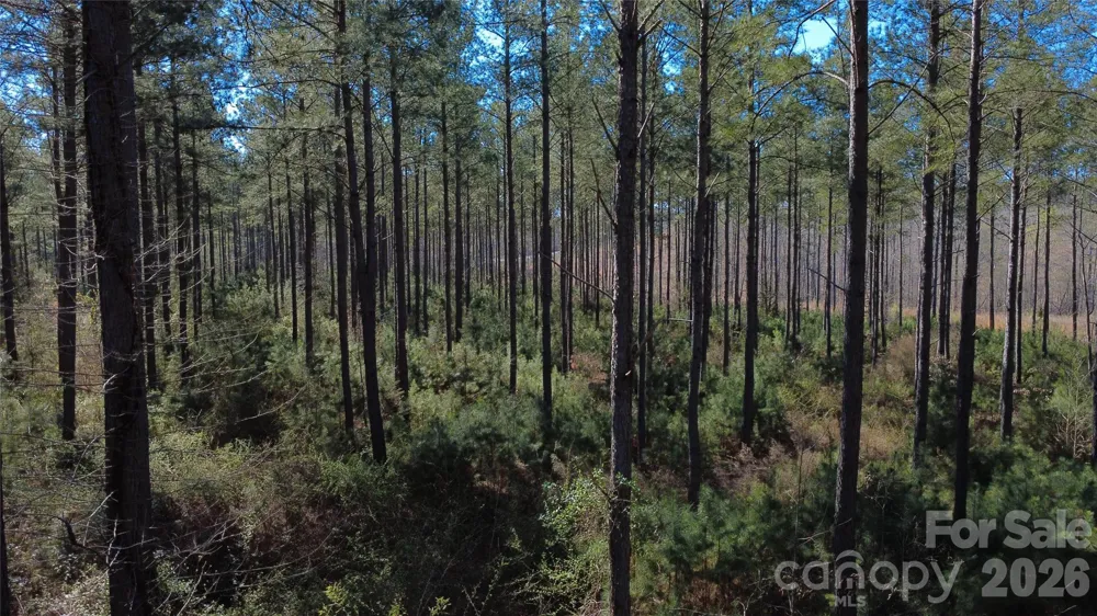 00 Peter Hawk Creek Road #14 Jonesville, SC 29353