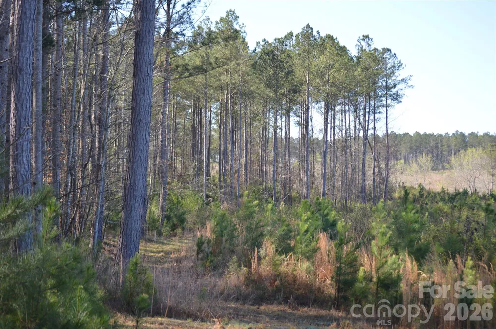 00 Peter Hawk Creek Road #14 Jonesville, SC 29353
