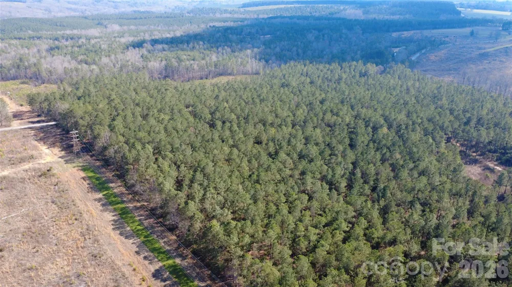 00 Peter Hawk Creek Road #14 Jonesville, SC 29353