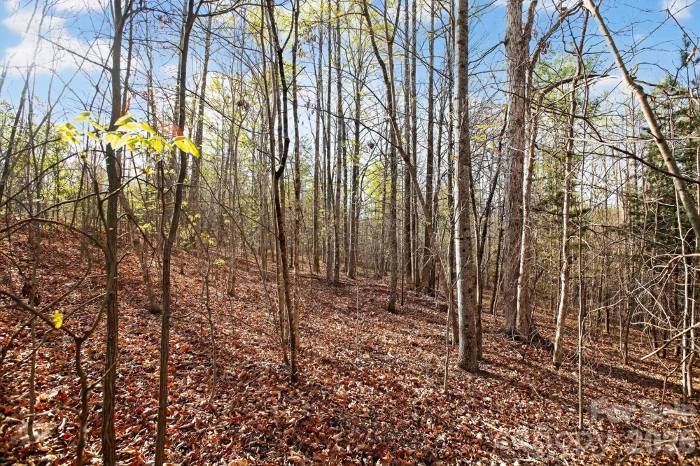 Lot 62 Dirksen Avenue Nebo, NC 28655