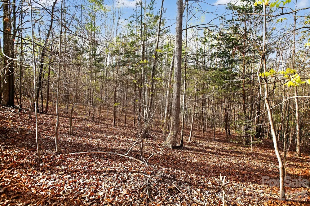 Lot 62 Dirksen Avenue Nebo, NC 28655