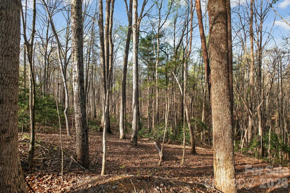 Lot 62 Dirksen Avenue Nebo, NC 28655