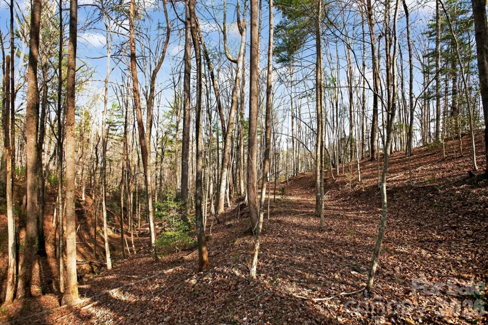 Lot 62 Dirksen Avenue Nebo, NC 28655