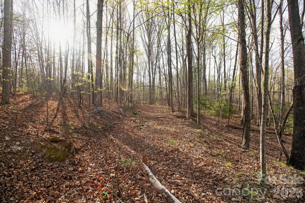 Lot 62 Dirksen Avenue Nebo, NC 28655