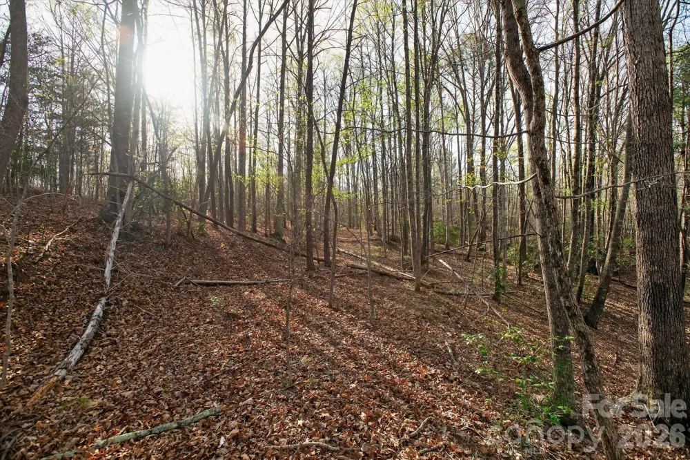 Lot 62 Dirksen Avenue Nebo, NC 28655