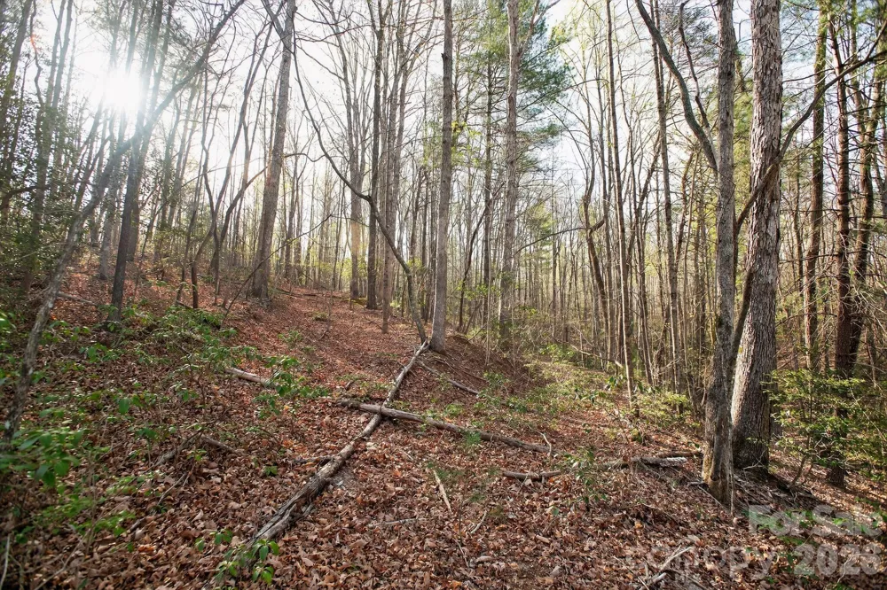 Lot 62 Dirksen Avenue Nebo, NC 28655