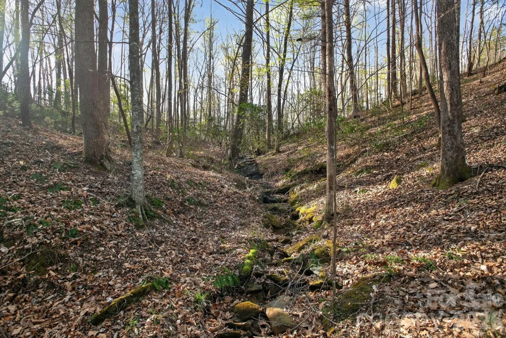 Lot 62 Dirksen Avenue Nebo, NC 28655