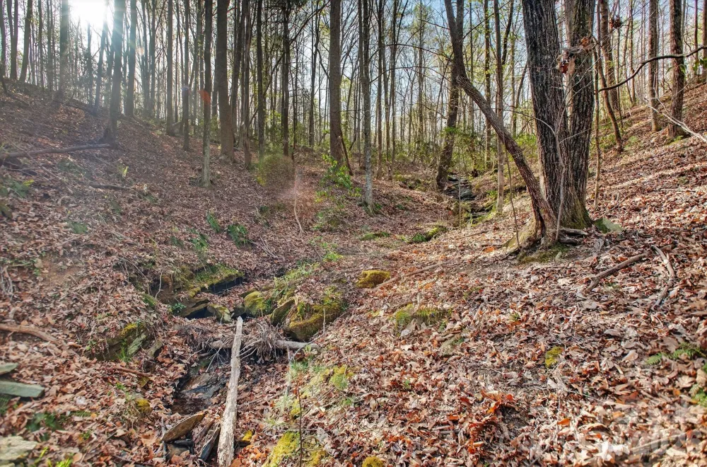 Lot 62 Dirksen Avenue Nebo, NC 28655