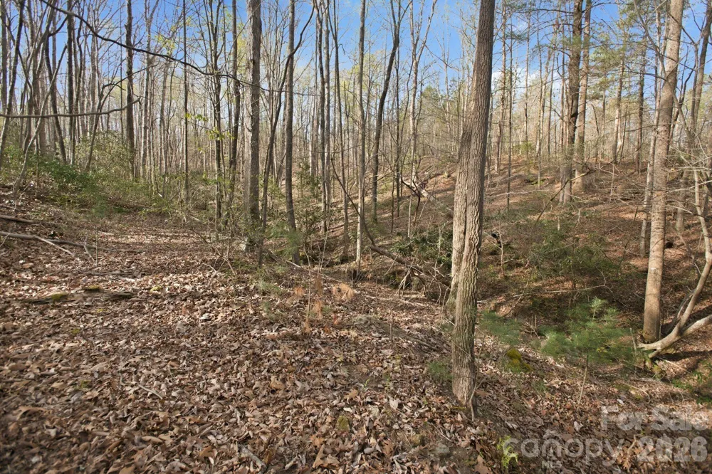 Lot 62 Dirksen Avenue Nebo, NC 28655