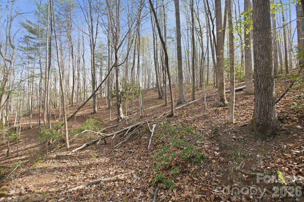Lot 62 Dirksen Avenue Nebo, NC 28655