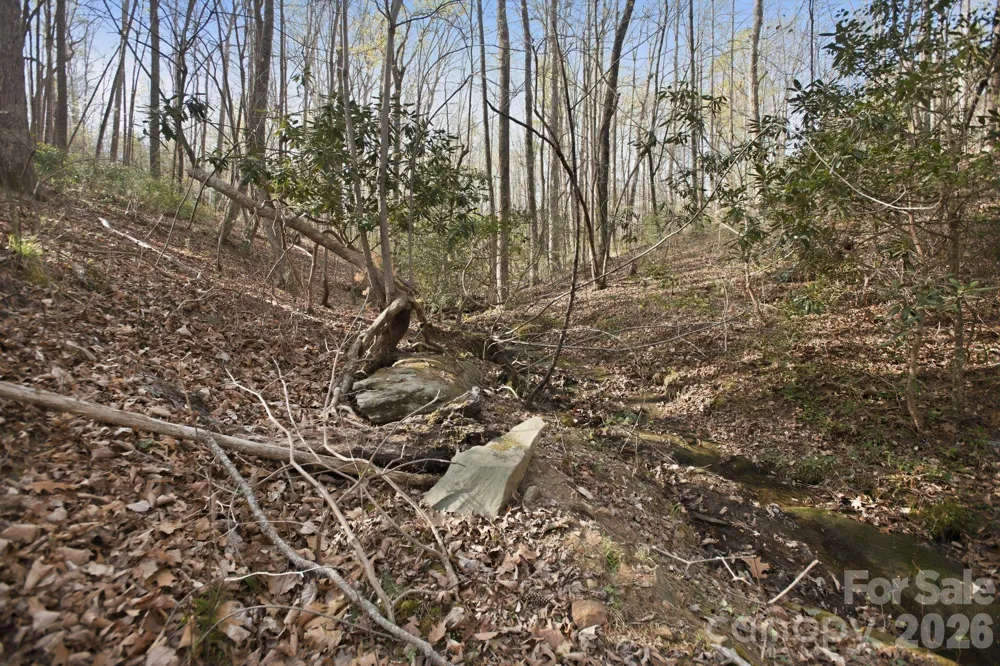Lot 62 Dirksen Avenue Nebo, NC 28655