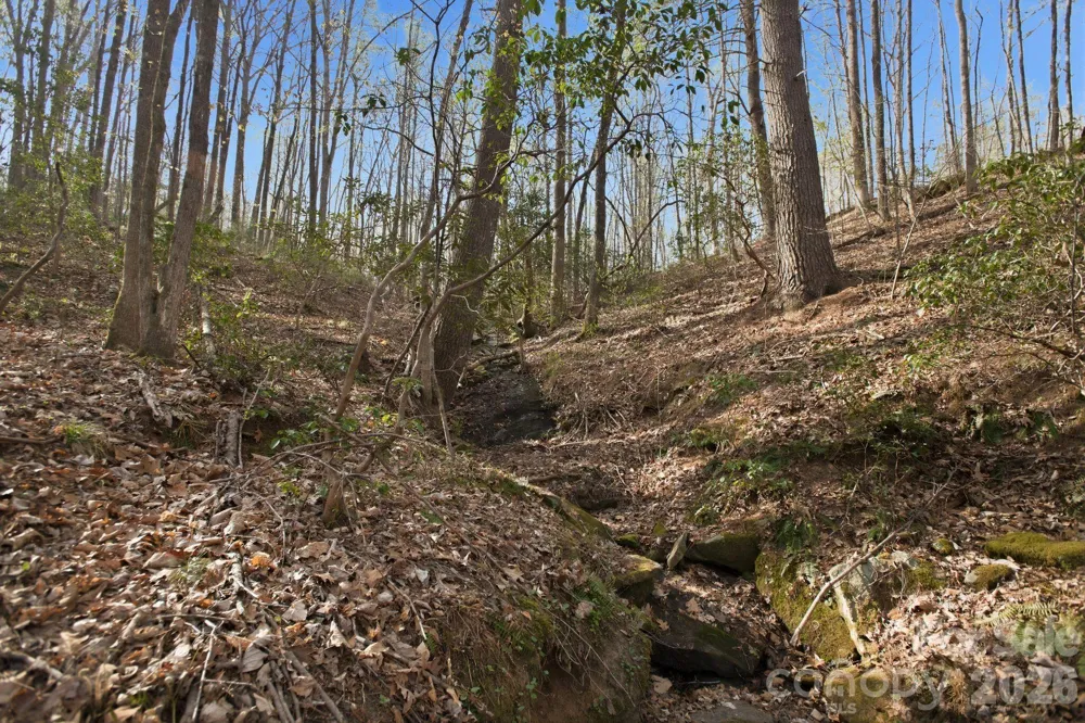 Lot 62 Dirksen Avenue Nebo, NC 28655