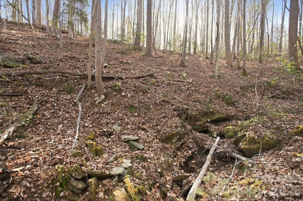 Lot 62 Dirksen Avenue Nebo, NC 28655
