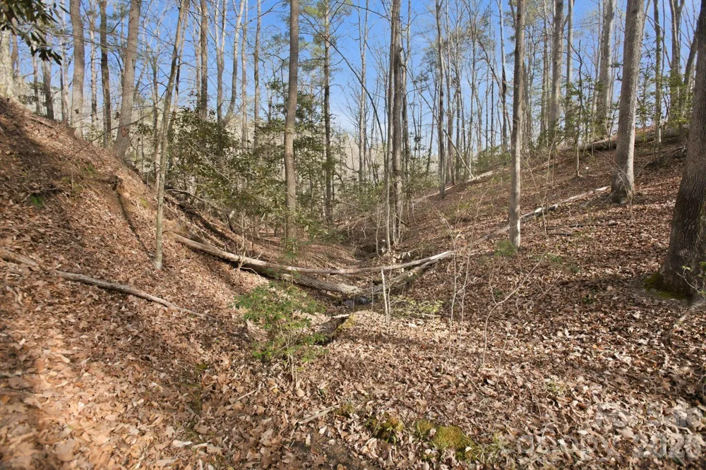 Lot 62 Dirksen Avenue Nebo, NC 28655