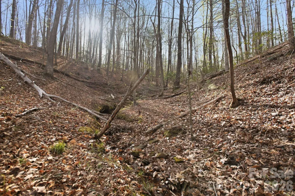 Lot 62 Dirksen Avenue Nebo, NC 28655